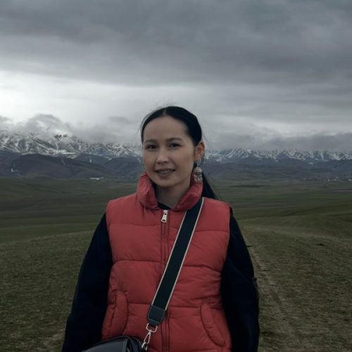 34D127D1-1F42-4A8C-B03A-511CA4F8B1F7 - shinargul beysen